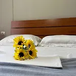 Apartamento Turdiu Center *