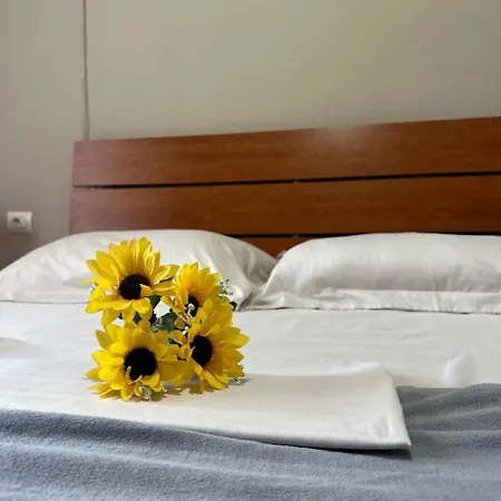 Daire Turdiu Center *