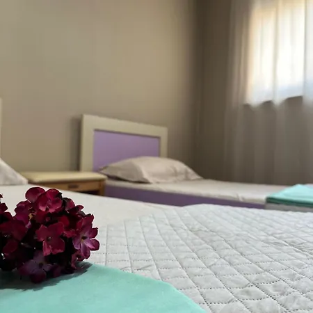 Daire Turdiu Center Tiran