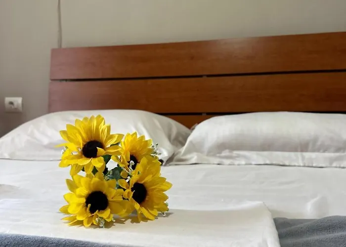 Apartment Turdiu Center *